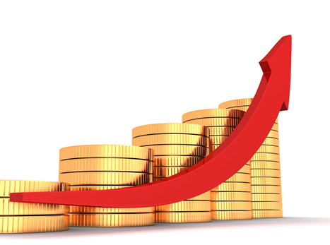 增值電信業務經營許可證年報